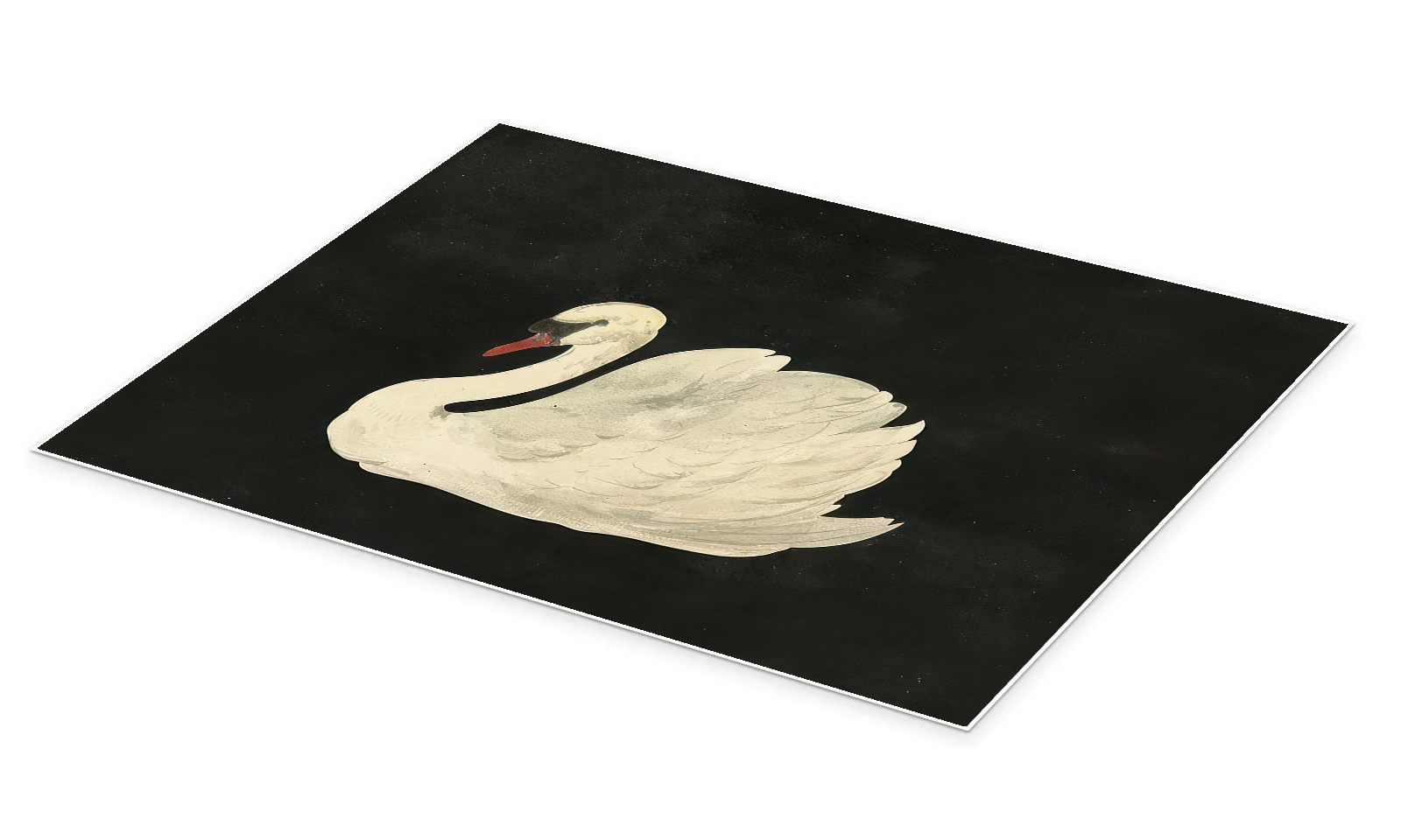 Black and White Swan Art - The Silent Sentinel Minimalist Print