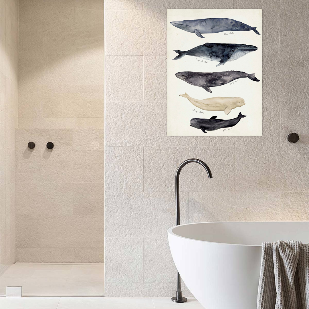 Gentle Giants of the Sea: A Coastal Animal Chart for Bathroom Wall Art