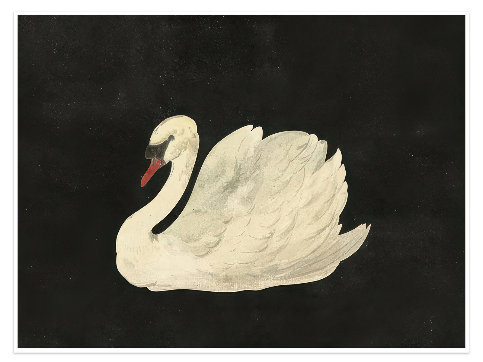The Silent Swan: A Striking Vintage Minimalist Animal Wall Art