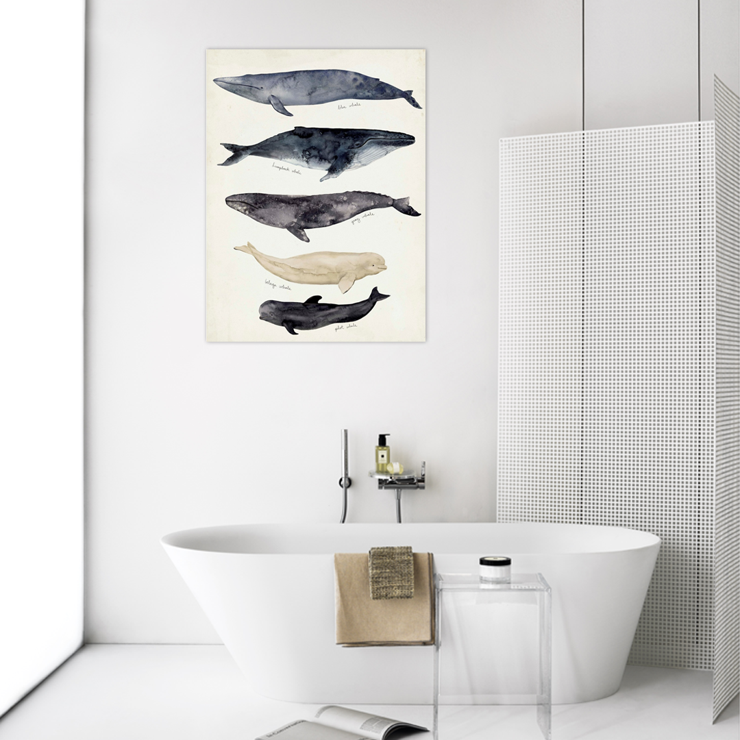 Gentle Giants of the Sea: A Coastal Animal Chart for Bathroom Wall Art