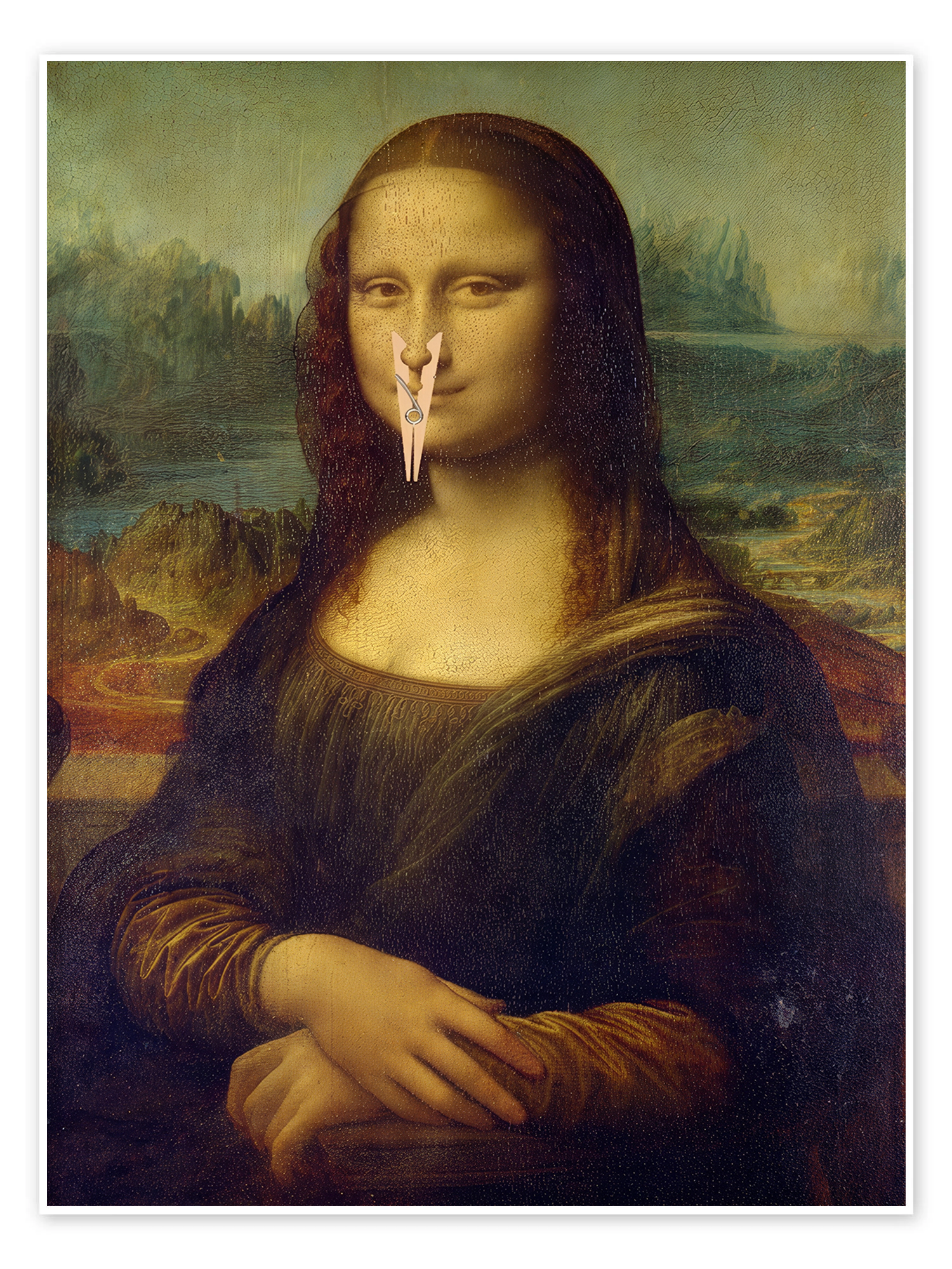 Mona Lisa's Secret: A Funny Pop Art Classic Bathroom Wall Art