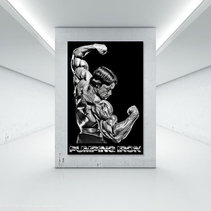 Arnold schwarzenegger pop art Pumping Iron Sports Wall Art