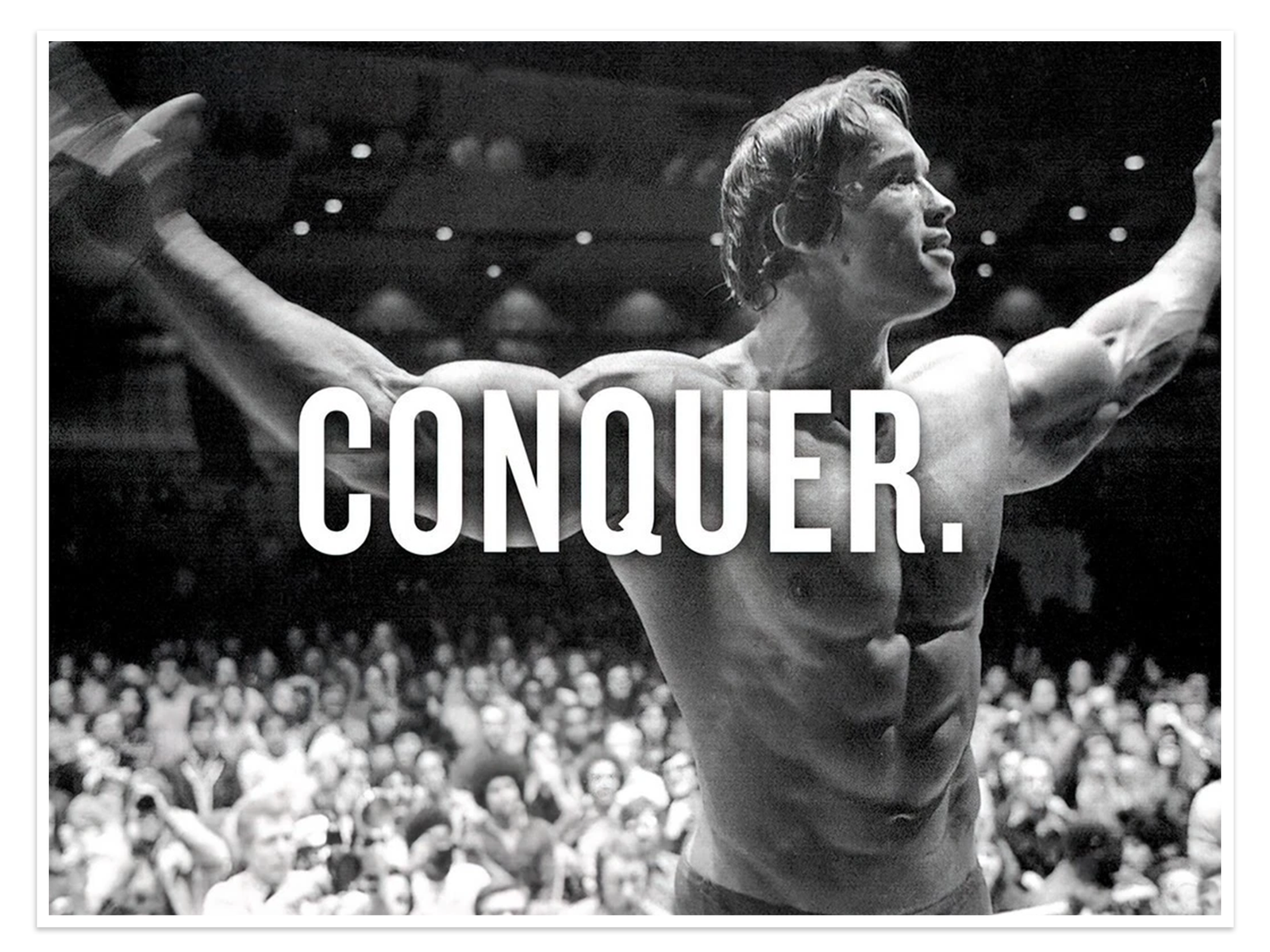 Arnold schwarzenegger pop art An Iconic Vintage Conquer Motivational Wall Art
