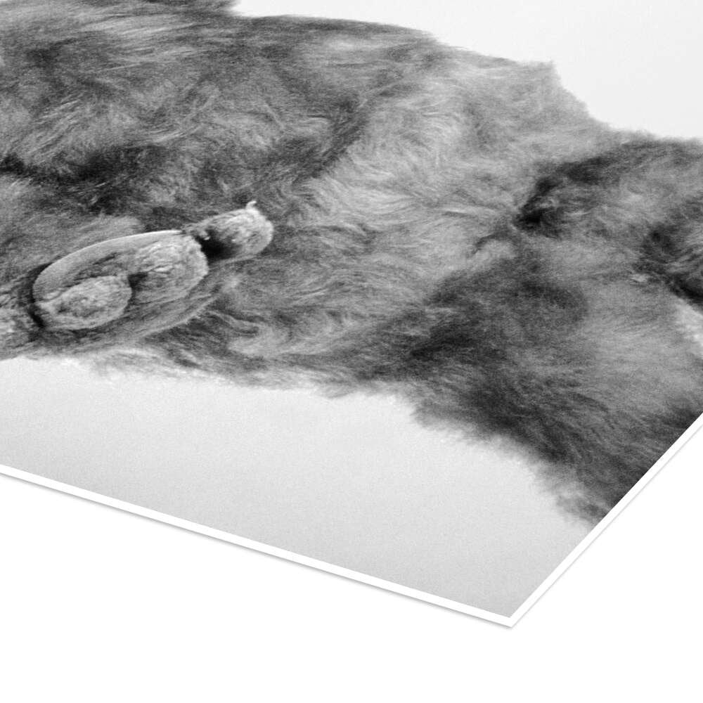 Greetings from Melmac: An Iconic Vintage ALF TV Show Wall Art Print