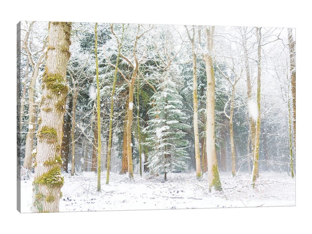 First Snowfall: A Serene Rustic Christmas Wall Art of a Winter Forest