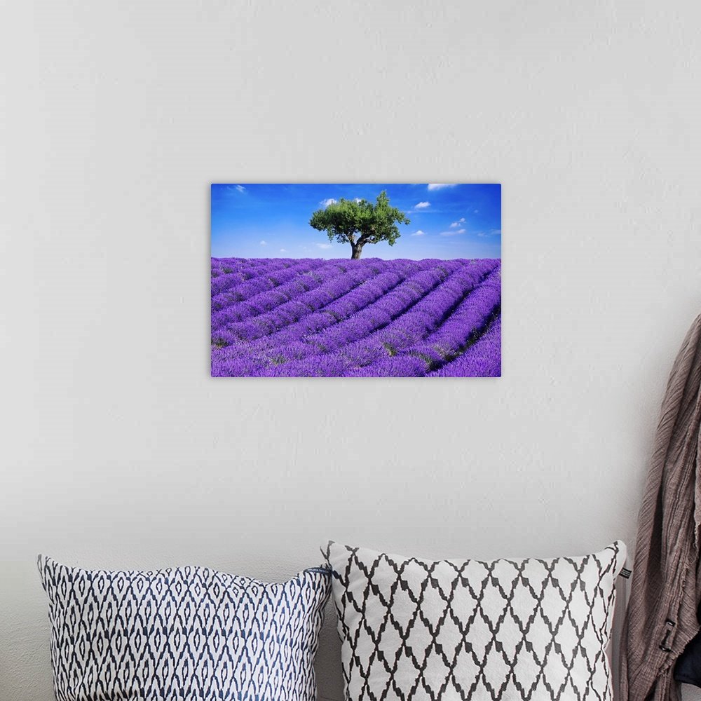 Sentinel of Provence: A Vibrant Landscape Lavender Wall Art for Your Home
