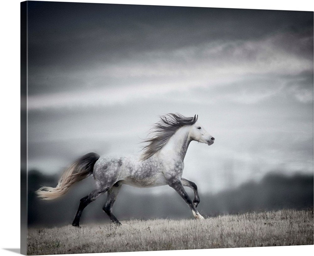 Spirit of the Wind: A Dramatic Wildlife Horse Wall Art for Your Home