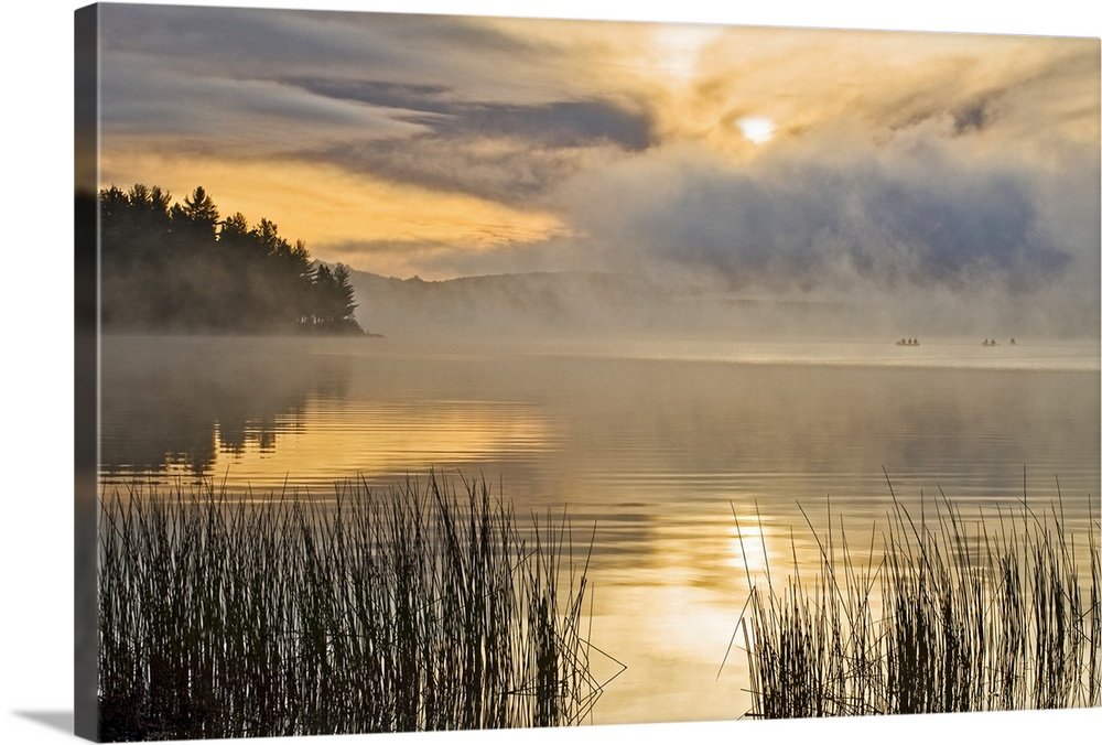 Misty Morning Gold: A Serene Rustic Landscape Wall Art Print