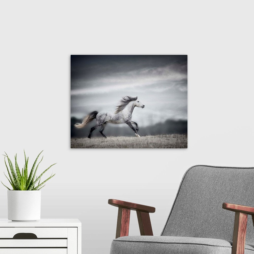 Spirit of the Wind: A Dramatic Wildlife Horse Wall Art for Your Home