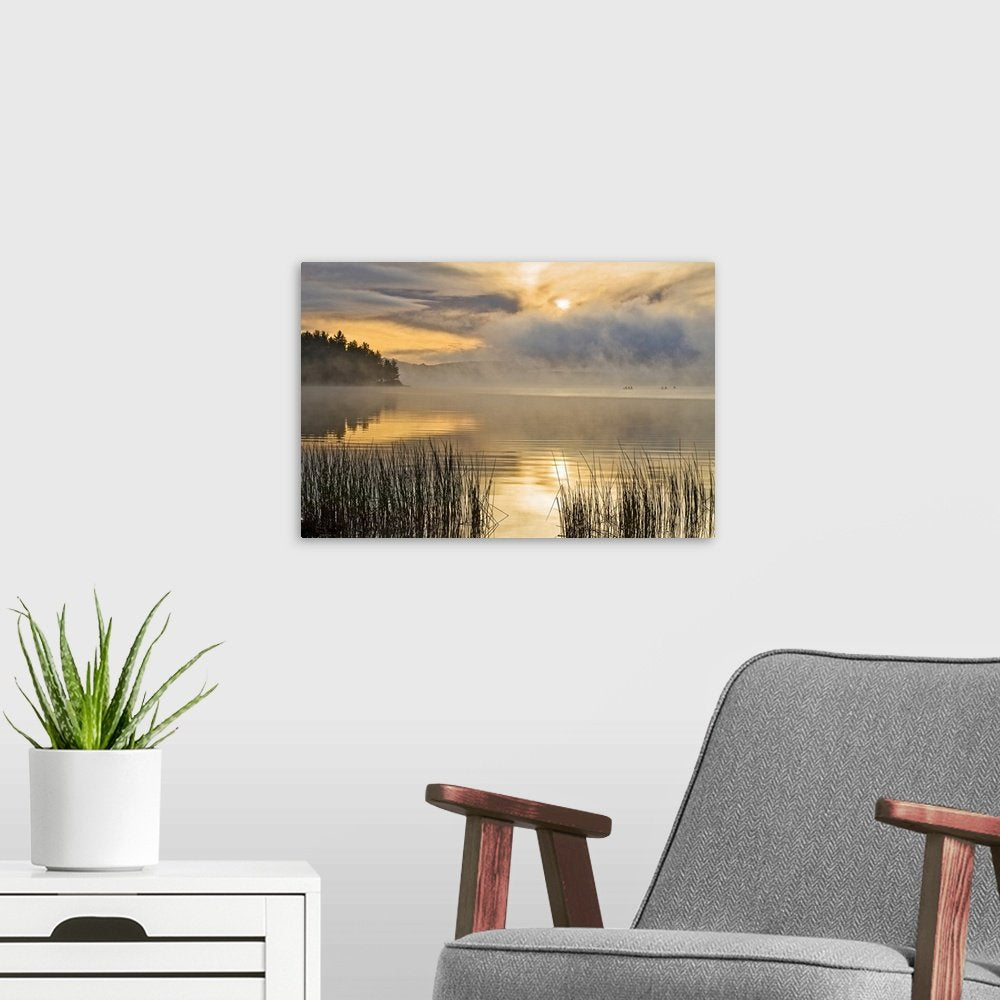 Misty Morning Gold: A Serene Rustic Landscape Wall Art Print