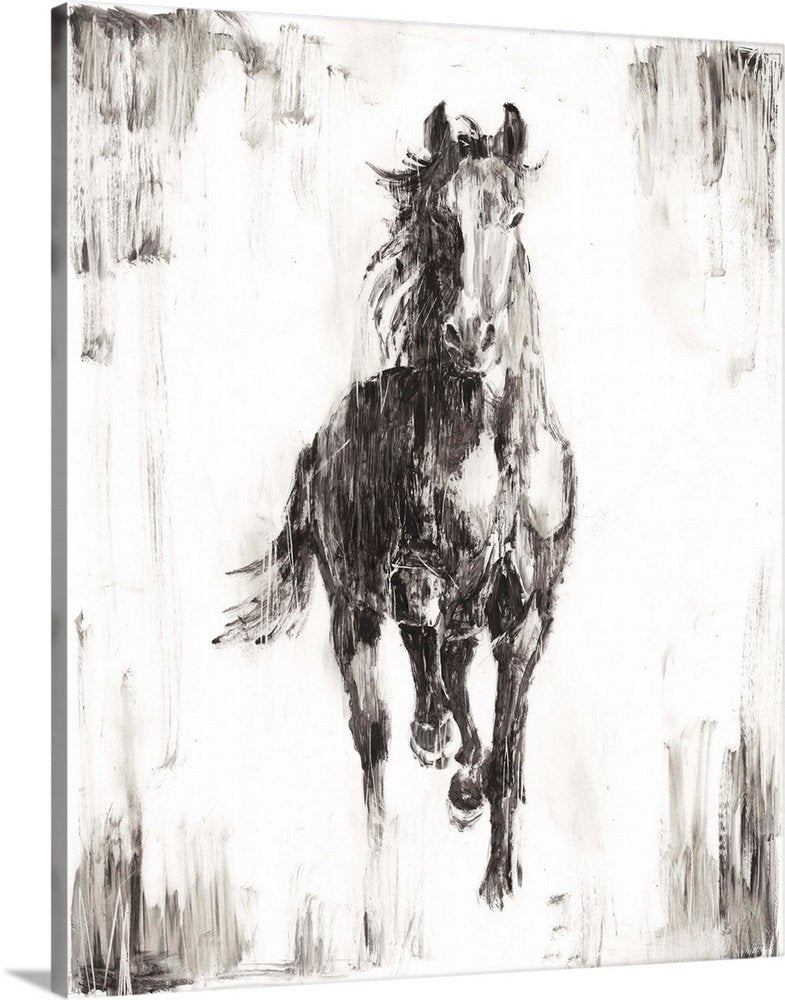 Black and White Horse Art - Untamed Spirit Minimalist Canvas