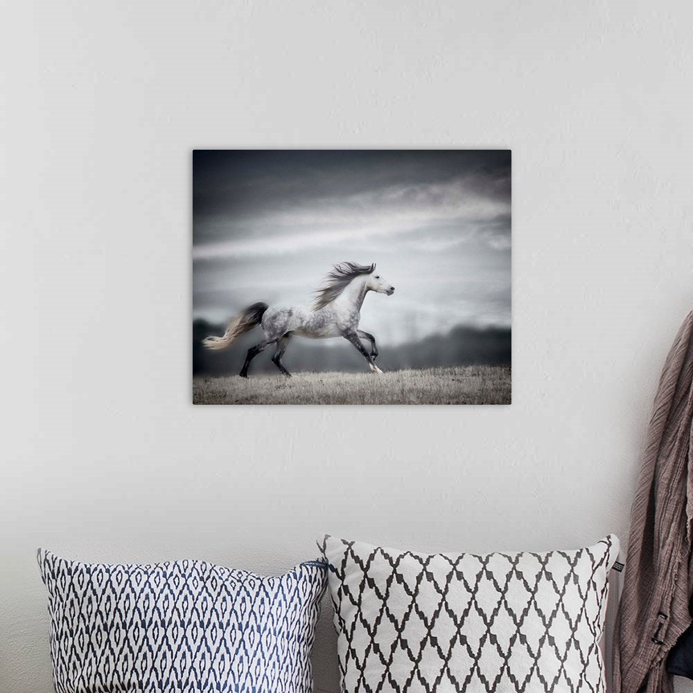 Spirit of the Wind: A Dramatic Wildlife Horse Wall Art for Your Home