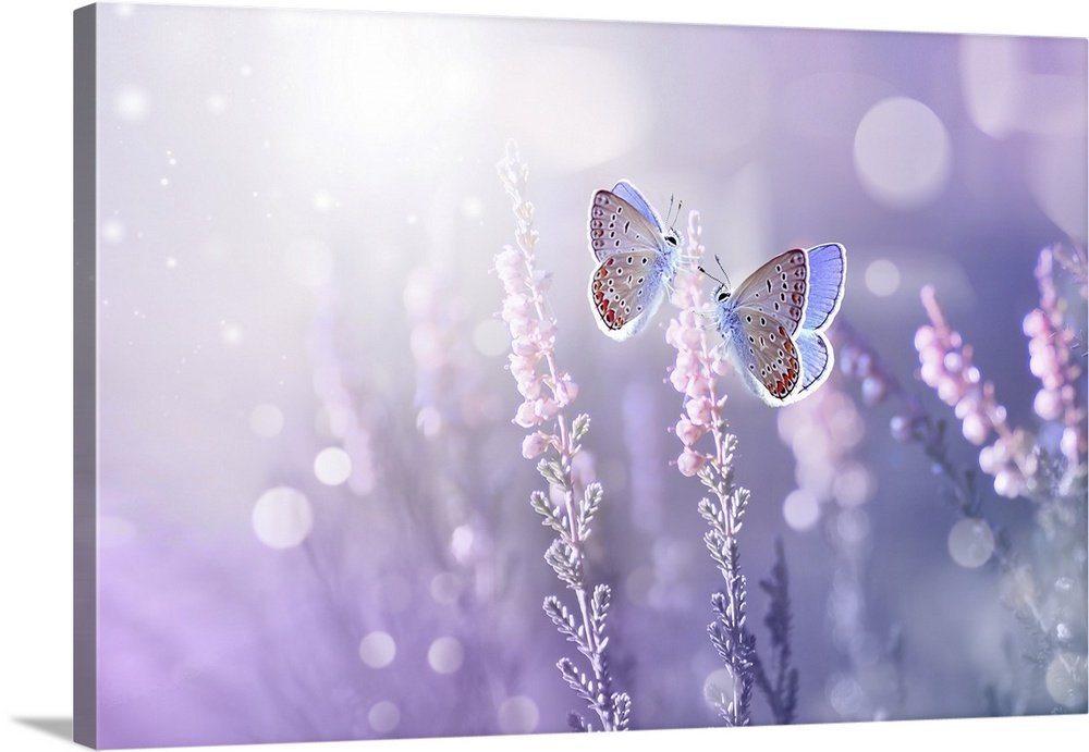 Lilac Lullaby: A Modern Butterfly Wall Art for Serene Spaces