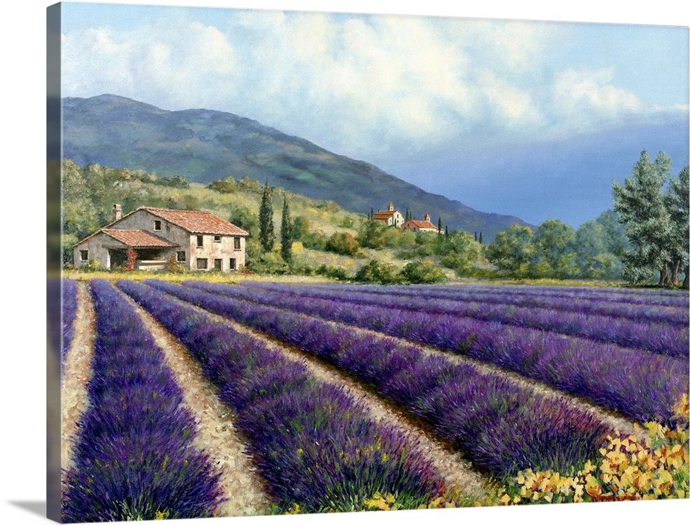 Provence Dream: A Classic Rustic Lavender Landscape Canvas Painting