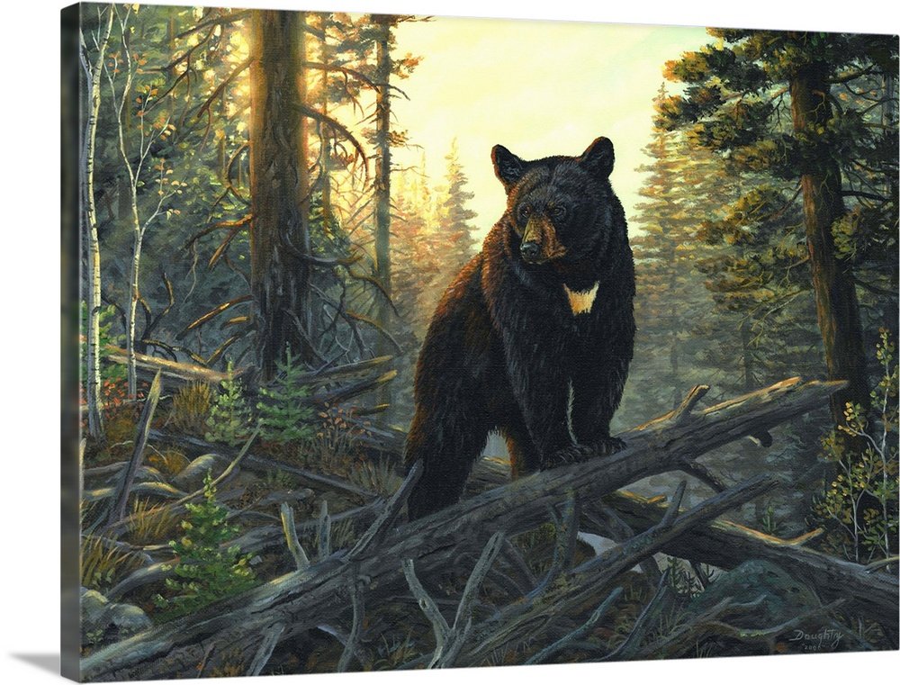 Golden Hour Guardian: A Rustic Wildlife Bear Canvas Painting for Your Lodge
