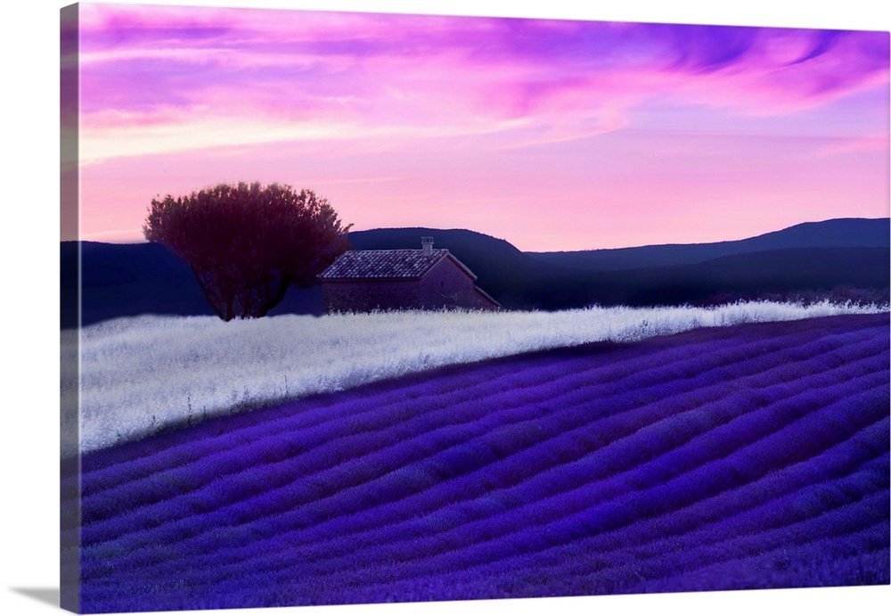 Provence Reverie: A Vibrant and Magical Lavender Landscape Wall Art