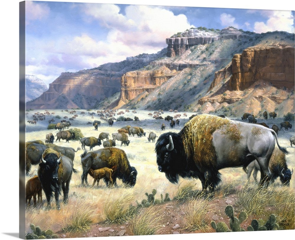 Spirit of the Canyon: A Majestic Rustic Bison Canvas Painting