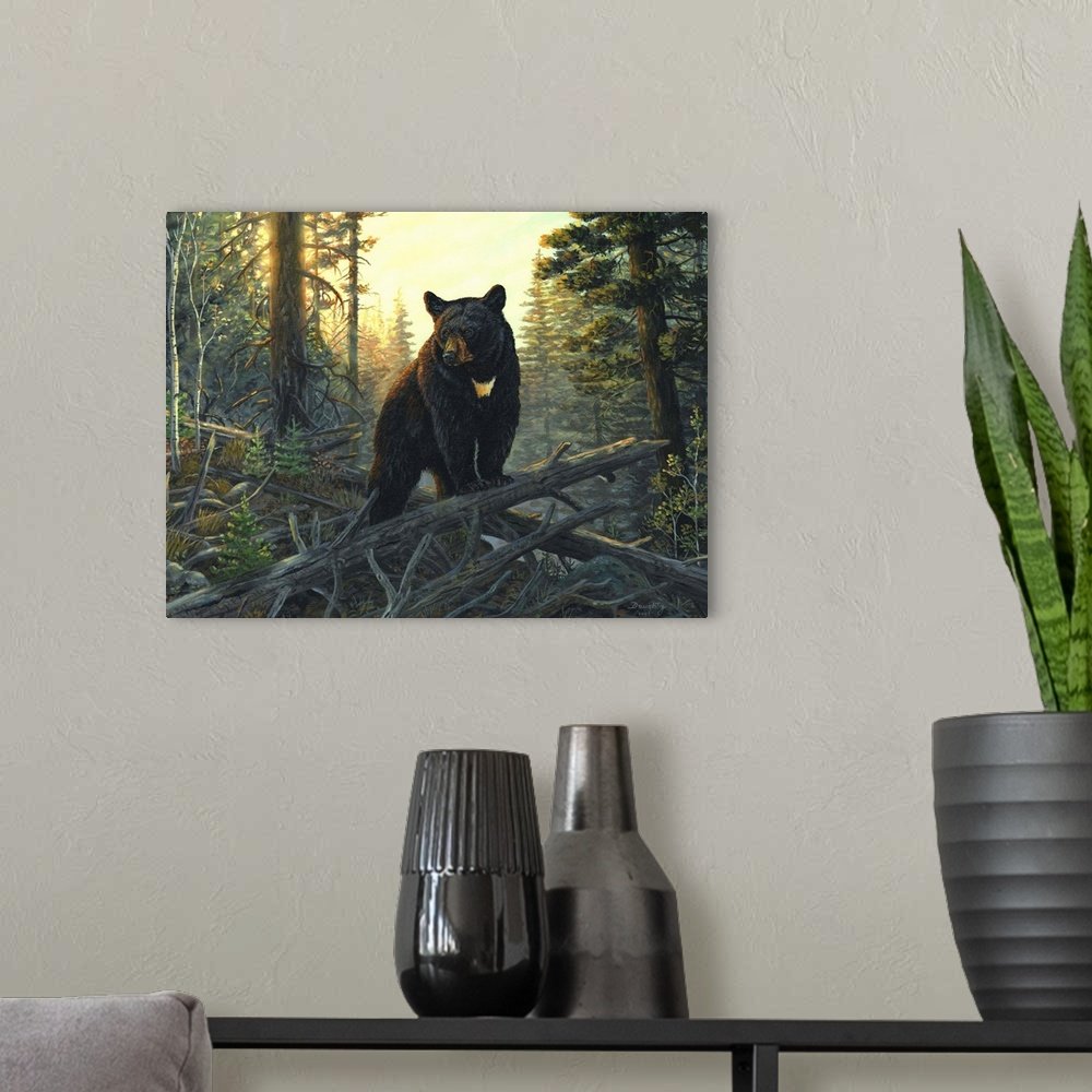 Golden Hour Guardian: A Rustic Wildlife Bear Canvas Painting for Your Lodge
