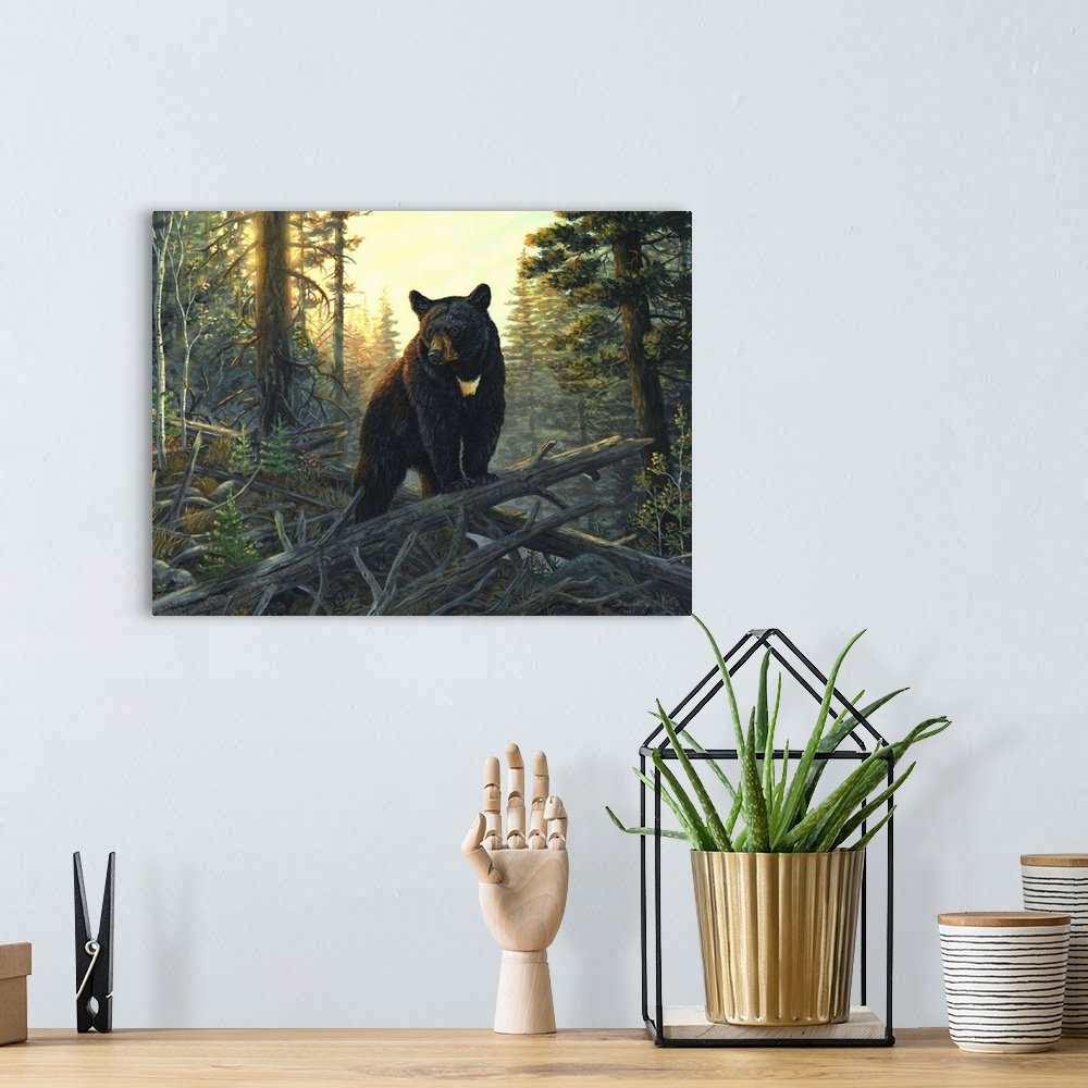 Golden Hour Guardian: A Rustic Wildlife Bear Canvas Painting for Your Lodge