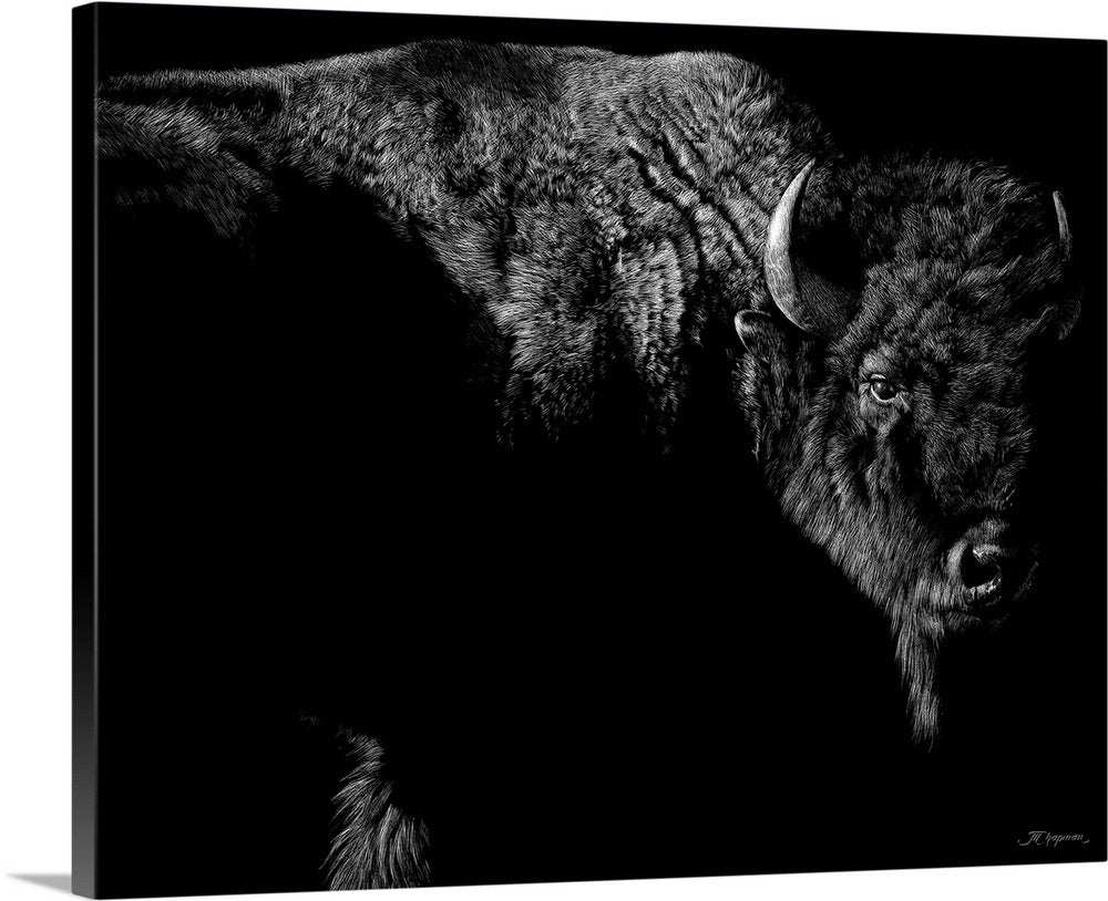 Shadow Guardian: A Minimalist Black and White Bison Wall Art Print