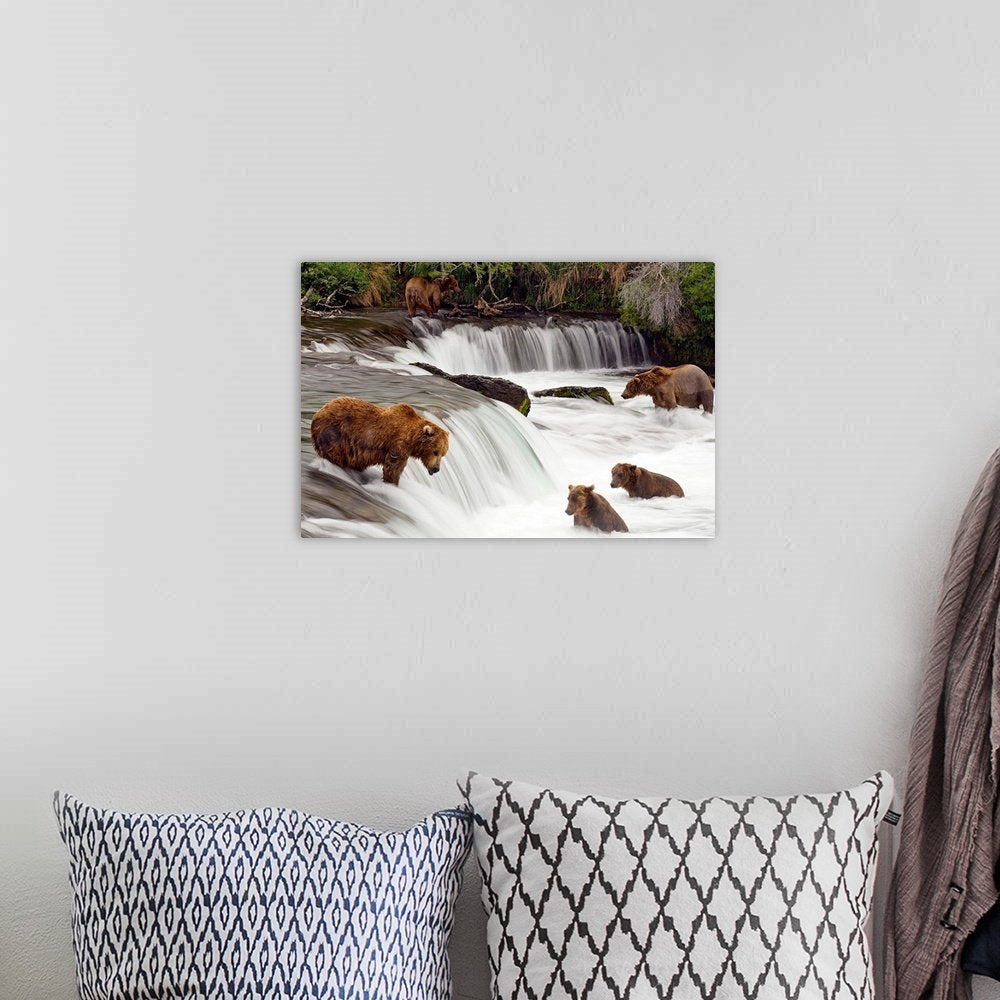 The Salmon Run: A Majestic Wildlife Bear Wall Art Photo Print