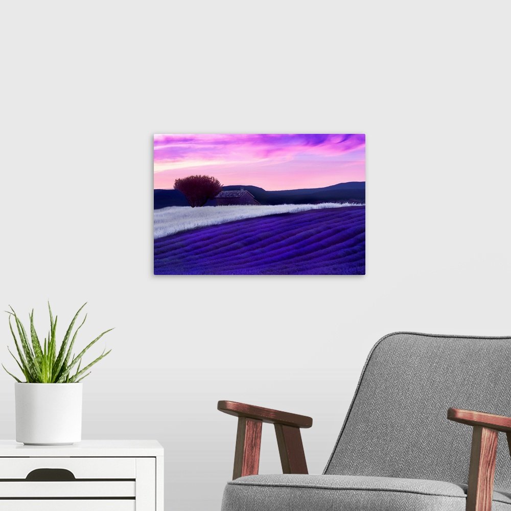 Provence Reverie: A Vibrant and Magical Lavender Landscape Wall Art