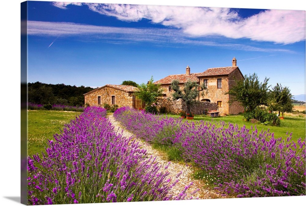 Lavender Lane: An Idyllic Rustic European Landscape Wall Art