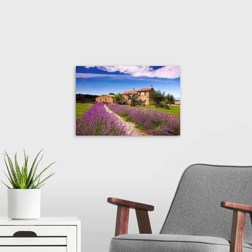 Lavender Lane: An Idyllic Rustic European Landscape Wall Art