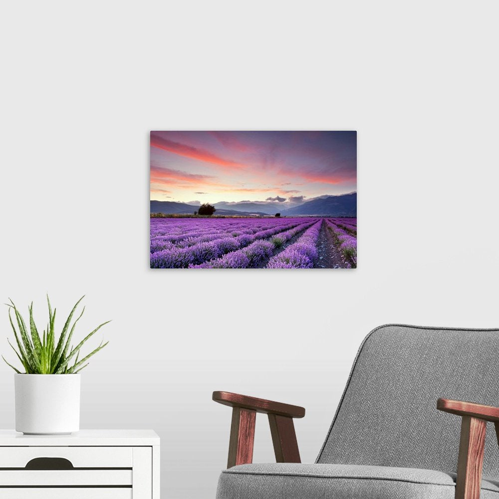 Sunset Over the Valley: A Breathtaking Landscape Lavender Wall Art