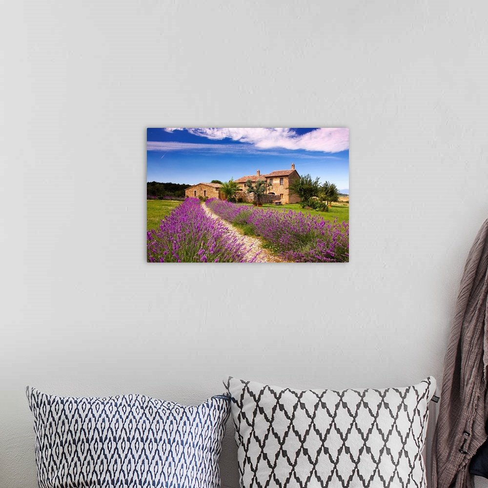 Lavender Lane: An Idyllic Rustic European Landscape Wall Art