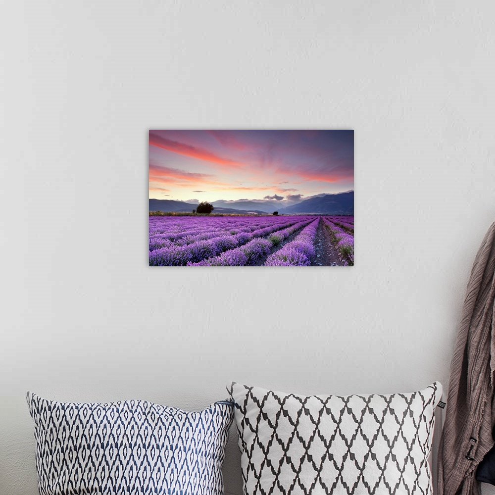 Sunset Over the Valley: A Breathtaking Landscape Lavender Wall Art