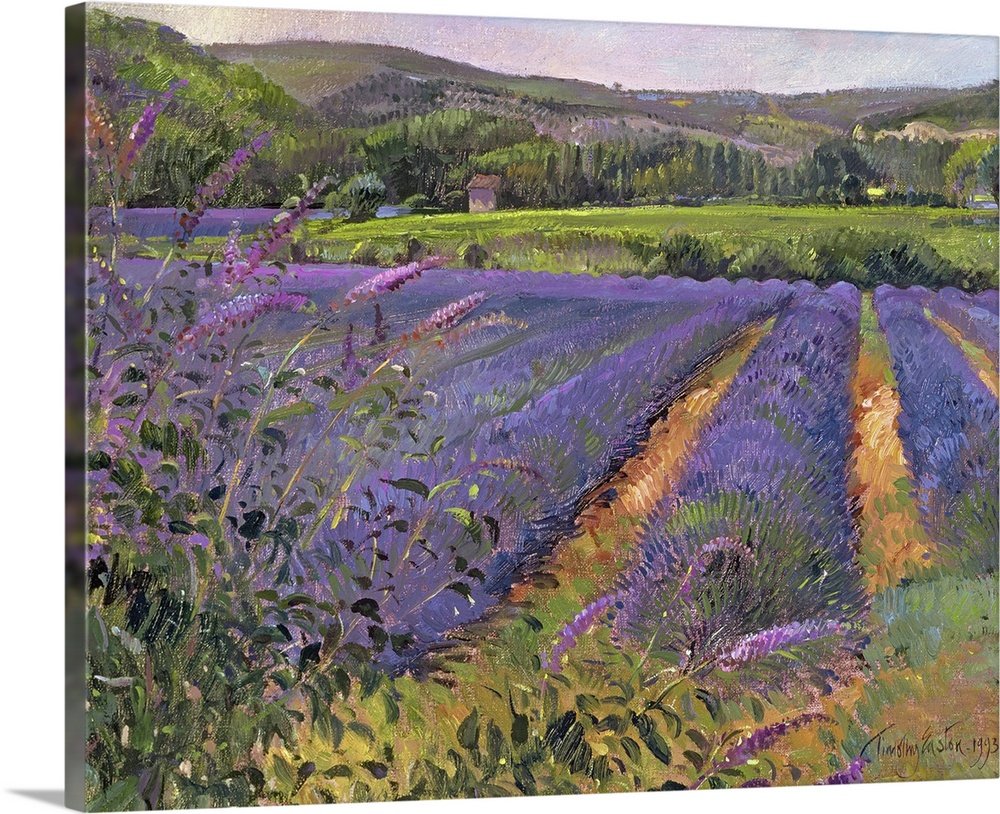 Provence Morning: An Impressionist Lavender Landscape Canvas Painting