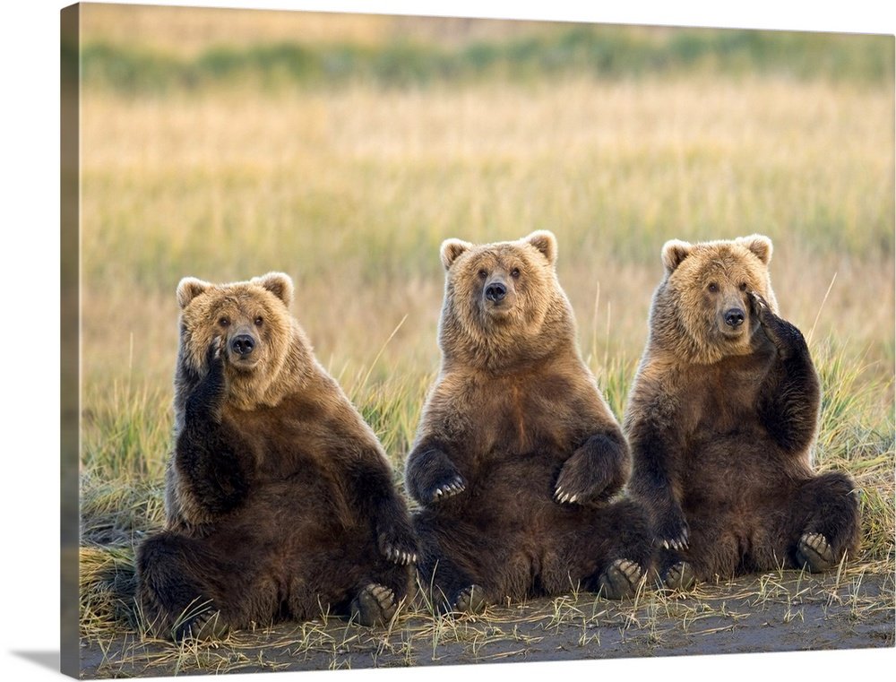 The Committee Meeting: A Humorous Wildlife Bear Wall Art for Your Cabin
