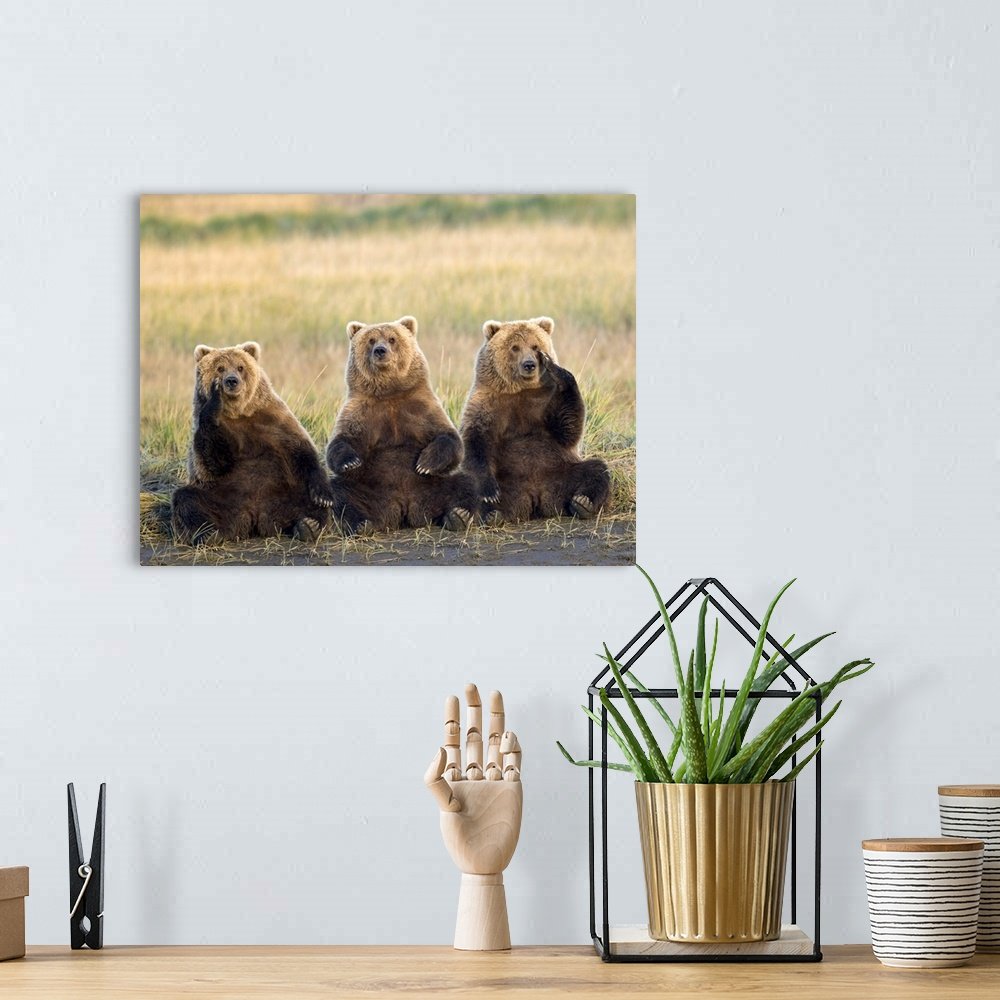 The Committee Meeting: A Humorous Wildlife Bear Wall Art for Your Cabin