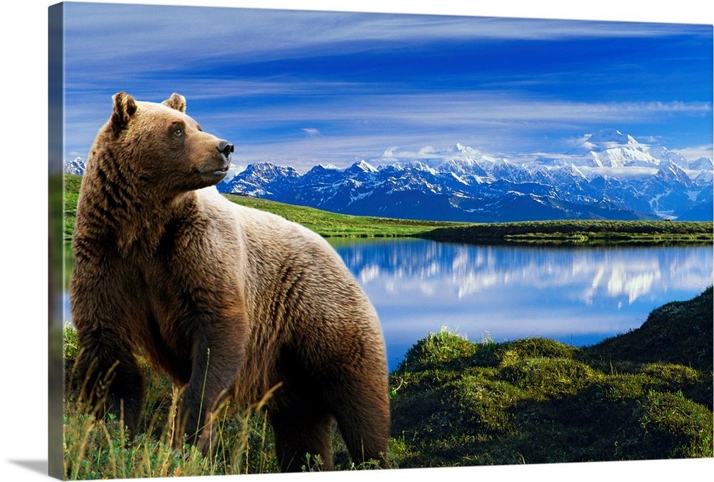 Mountain Majesty: A Breathtaking Wildlife Bear Wall Art for Your Home