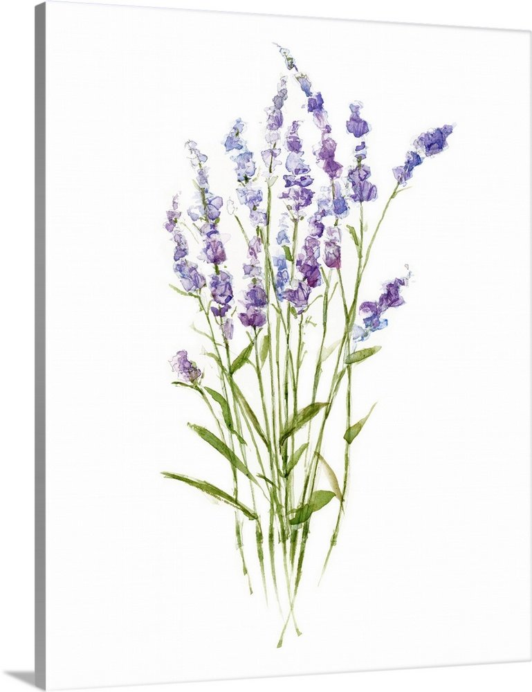 Lavender Grace: A Modern Botanical Lavender Wall Art for Minimalist Decor