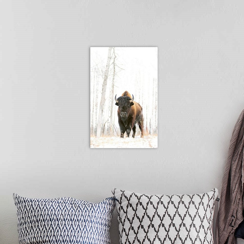 The Silent Sentinel: A Minimalist Wildlife Bison Wall Art for Winter Decor