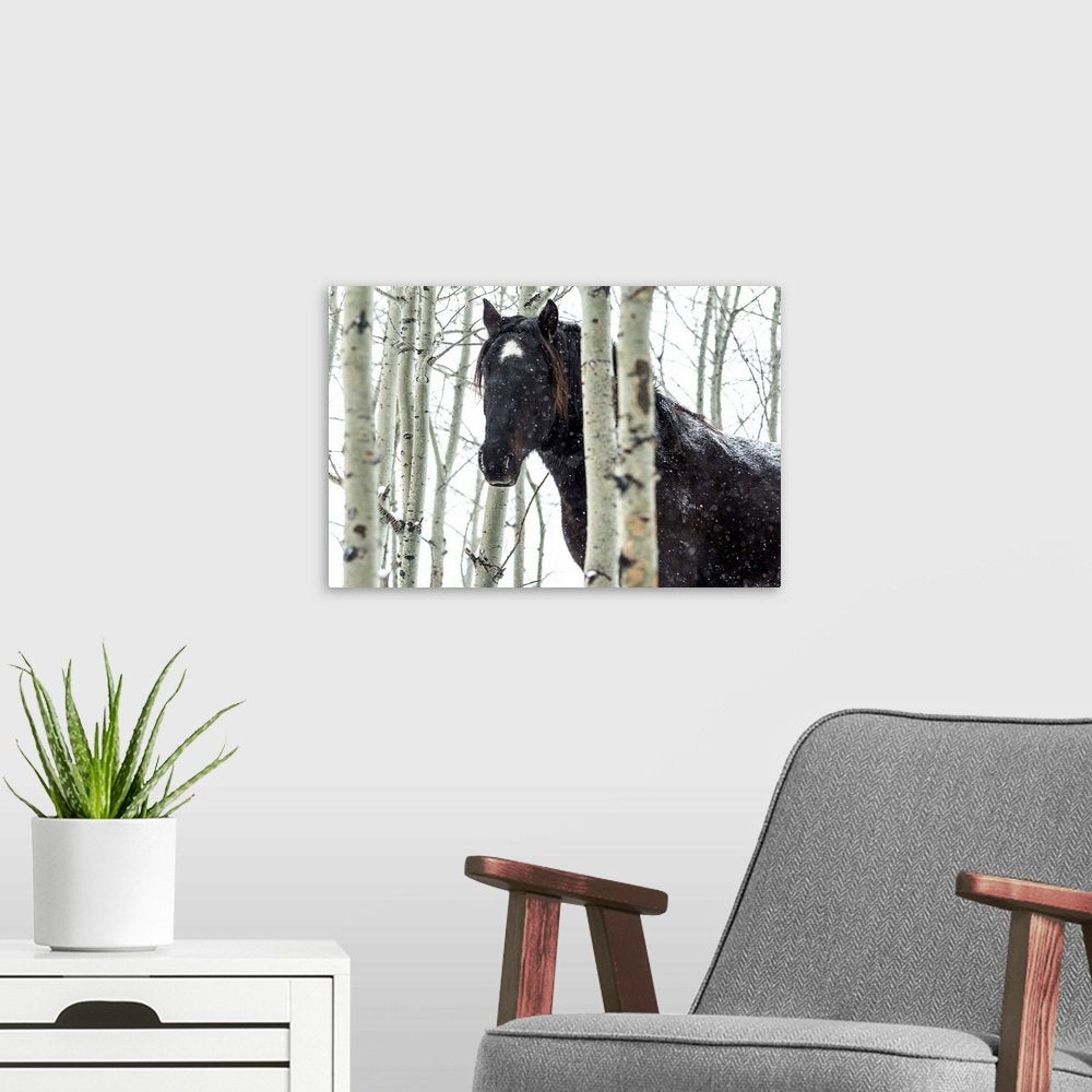 Birchwood Phantom: A Rustic Wildlife Horse Wall Art for Winter Decor
