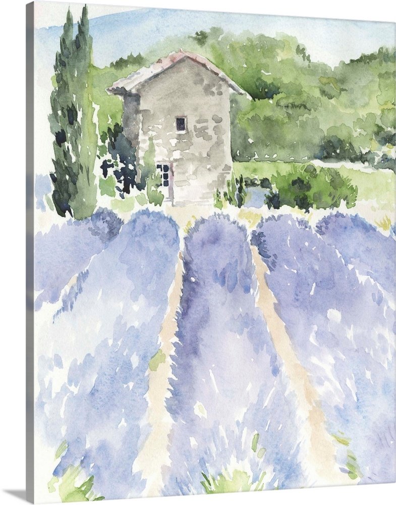 A Provence Daydream: A Rustic Watercolor Lavender Canvas Painting