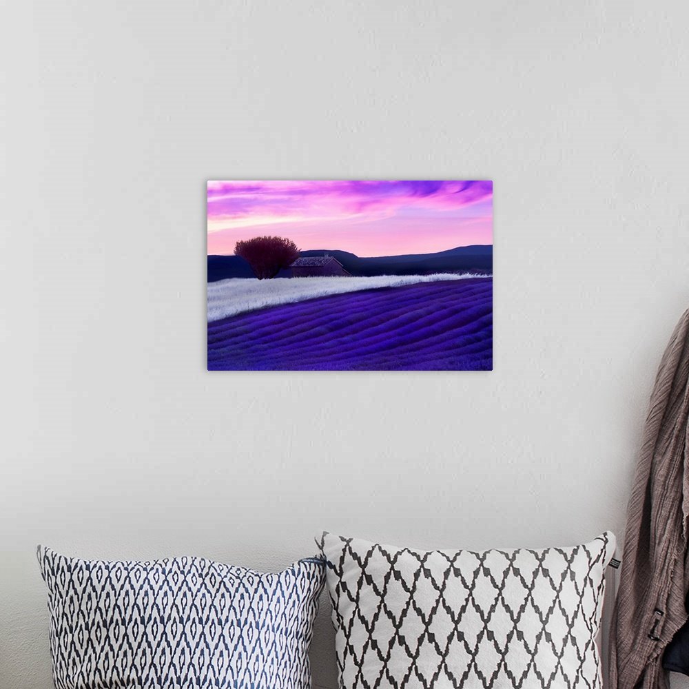 Provence Reverie: A Vibrant and Magical Lavender Landscape Wall Art