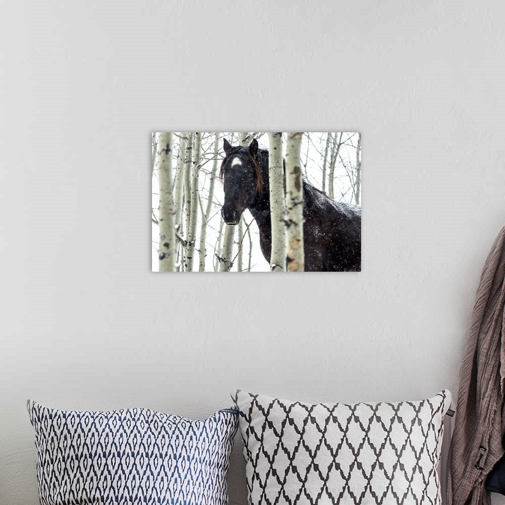 Birchwood Phantom: A Rustic Wildlife Horse Wall Art for Winter Decor