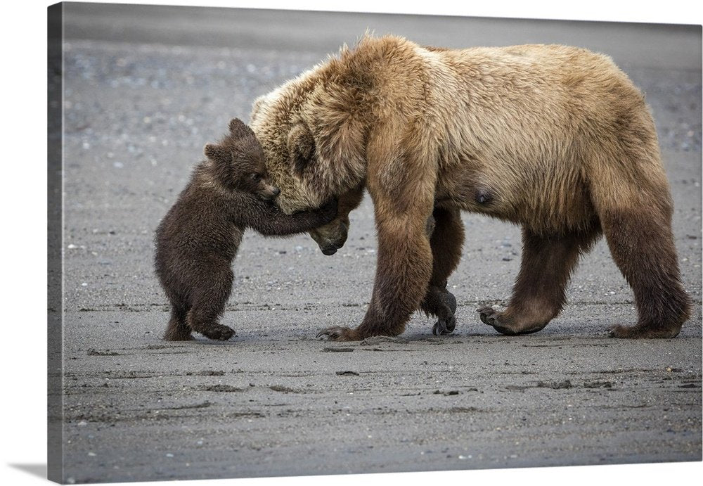 Tender Lessons: A Heartwarming Wildlife Bear Wall Art for Your Home