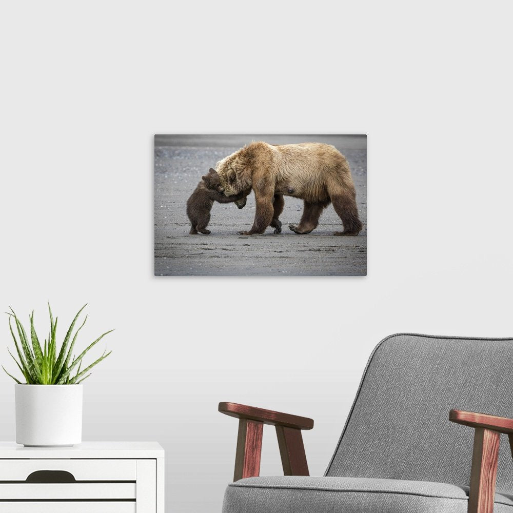 Tender Lessons: A Heartwarming Wildlife Bear Wall Art for Your Home