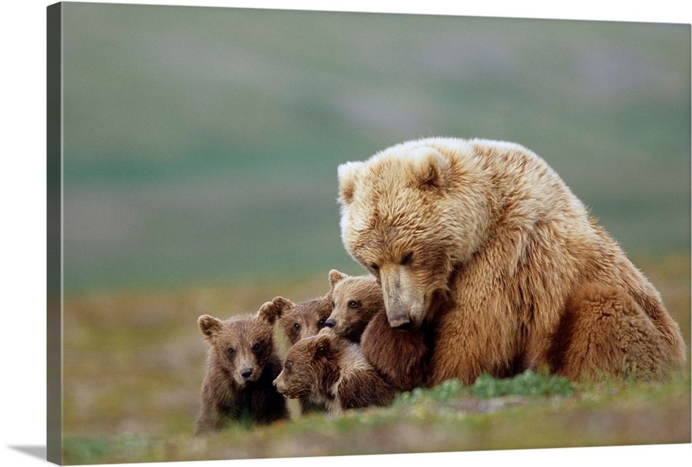 A Mother's Embrace: A Heartwarming Wildlife Bear Wall Art for Your Home