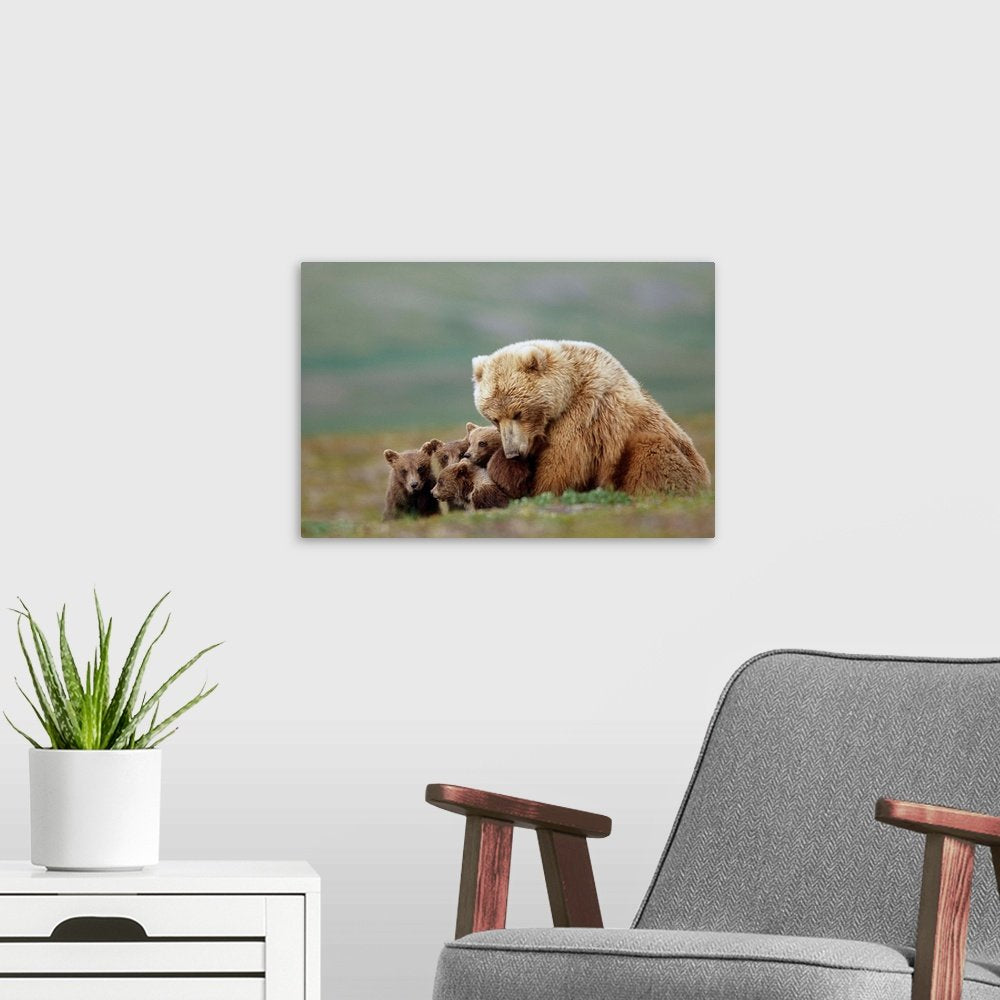A Mother's Embrace: A Heartwarming Wildlife Bear Wall Art for Your Home