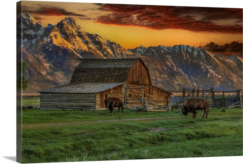Homestead Sunset: A Rustic Teton Bison Wall Art Landscape