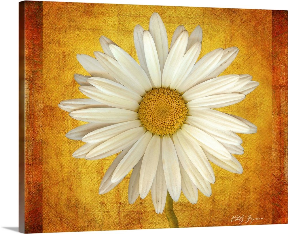Golden Daisy: A Cheerful Vintage Floral Bathroom Wall Art Print