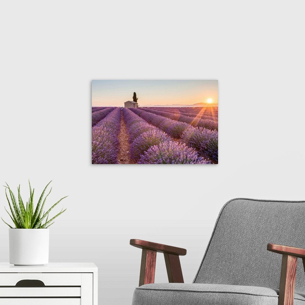 Golden Hour in Provence: A Serene Landscape Lavender Wall Art