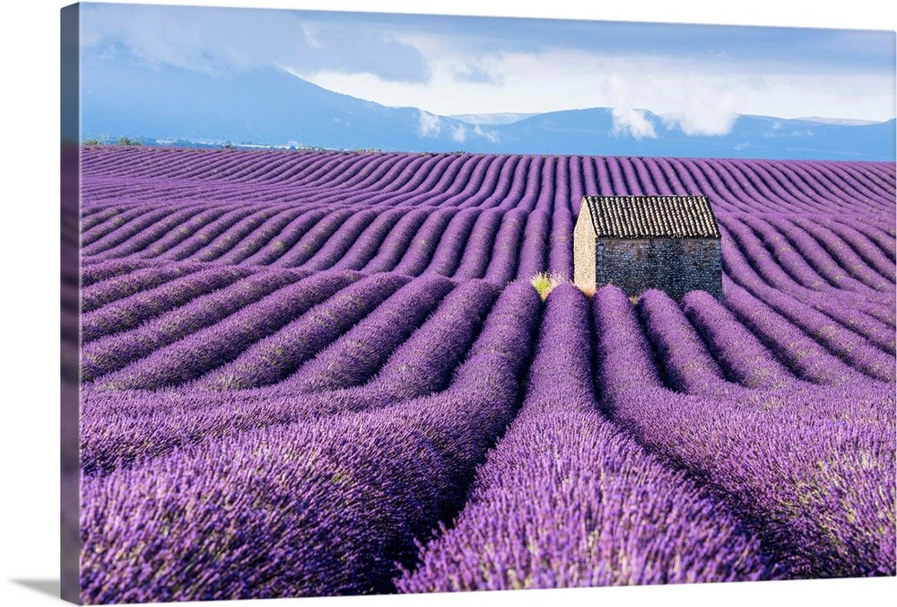 Provence Dreamscape: A Serene Landscape Lavender Wall Art for Your Home