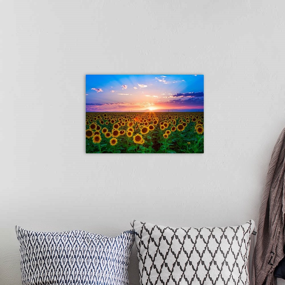 Sunflower Landscape Art - Golden Horizon Sunset